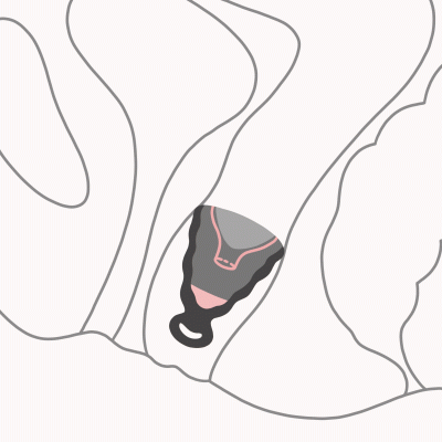 Менструальная чаша с защитой от протечек GCup, 10 мл