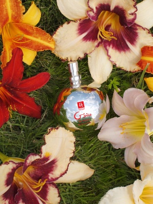 Gjuice Toy Cleaner - антибактериальный очищающий спрей, 60 мл