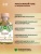 Intt Coconut Massage Gel - Массажный гель с согревающим эффектом и вкусом кокоса, 30 мл